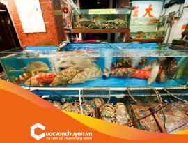 ĐIỀU KIỆN NHẬP KHẨU THỦY SẢN SỐNG DÙNG LÀM THỰC PHẨM 