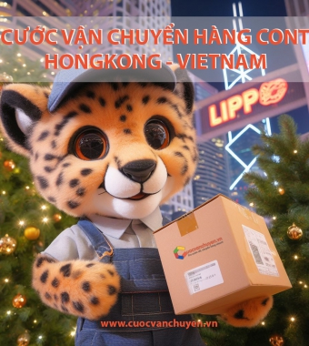 GIÁ CƯỚC VẬN TẢI BIỂN TỪ HONGKONG VỀ VIỆT NAM 