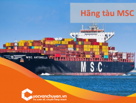 HÃNG TÀU MSC 