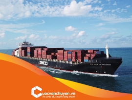 HÃNG TÀU ZIM – ZIM SHIPPING LINE