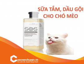 THỦ TỤC NHẬP KHẨU SỮA TẮM, DẦU GỘI CHÓ MÈO
