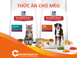 THỦ TỤC NHẬP KHẨU THỨC ĂN CHO CHÓ MÈO TỪ HÀN QUỐC