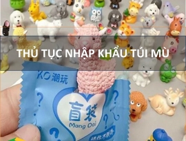 Thủ Tục Nhập Khẩu Túi Mù