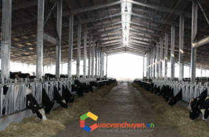 THỦ TỤC XIN GIẤY CHỨNG NHẬN ĐỦ ĐIỀU KIỆN VỆ SINH THÚ Y 