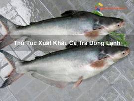 Thủ Tục Xuất Khẩu Cá Tra Đông Lạnh