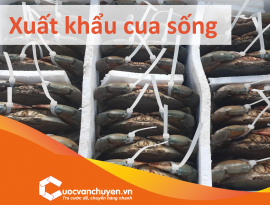 THỦ TỤC XUẤT KHẨU CUA SỐNG , CUA CÀ MAU