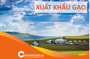 THỦ TỤC XUẤT KHẨU GẠO TỪ VIỆT NAM
