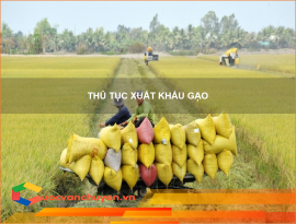 THỦ TỤC XUẤT KHẨU GẠO