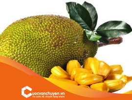 THỦ TỤC XUẤT KHẨU MÍT THÁI 
