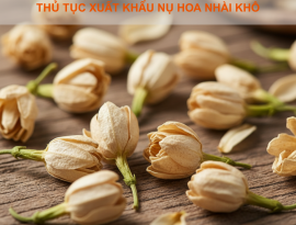 THỦ TỤC XUẤT KHẨU NỤ HOA NHÀI KHÔ