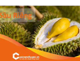 THỦ TỤC XUẤT KHẨU SẦU RIÊNG 
